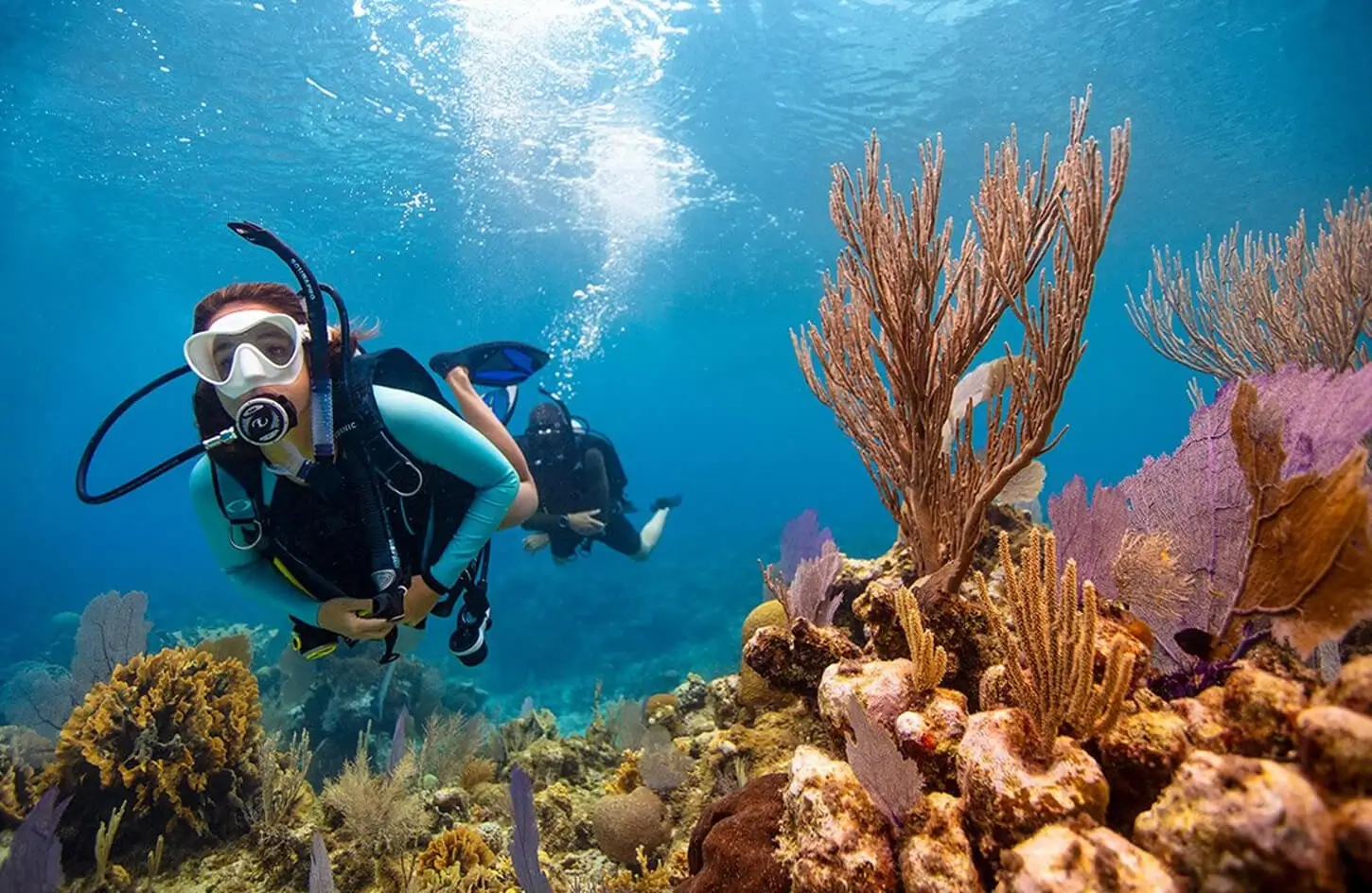 Giftun Island & the house reefs